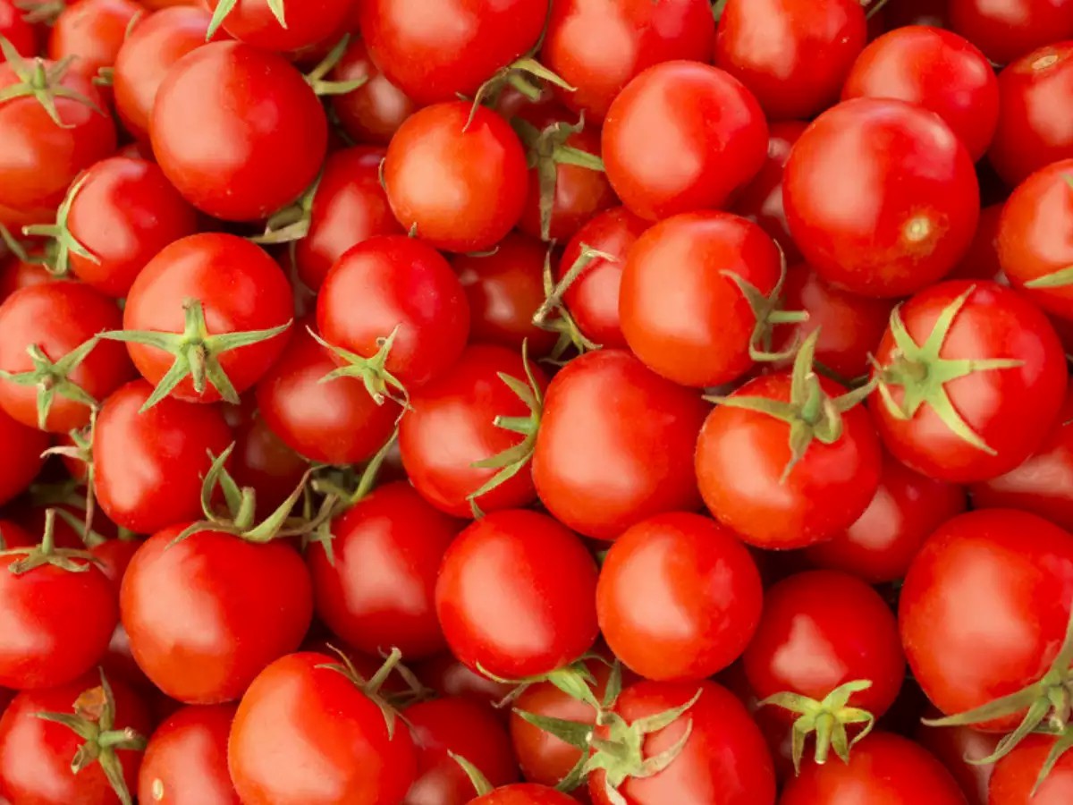 Here are the benefits of eating tomatoes every day1