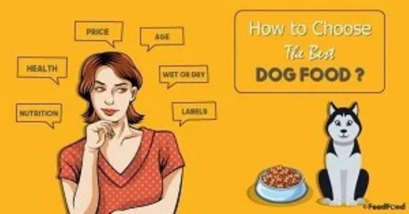 How to Choose the Best Dog Food for Your Dog